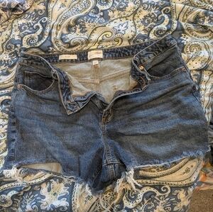 Universal Thread Jean Fringe Shorts. size 16